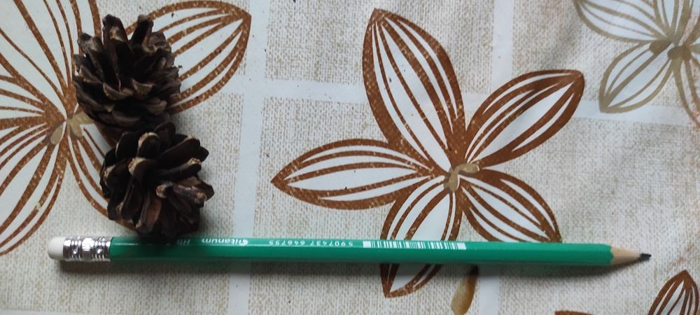 Sprzedam szyszki mix lub nie.