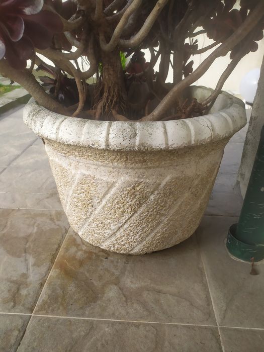 Vasos para plantas