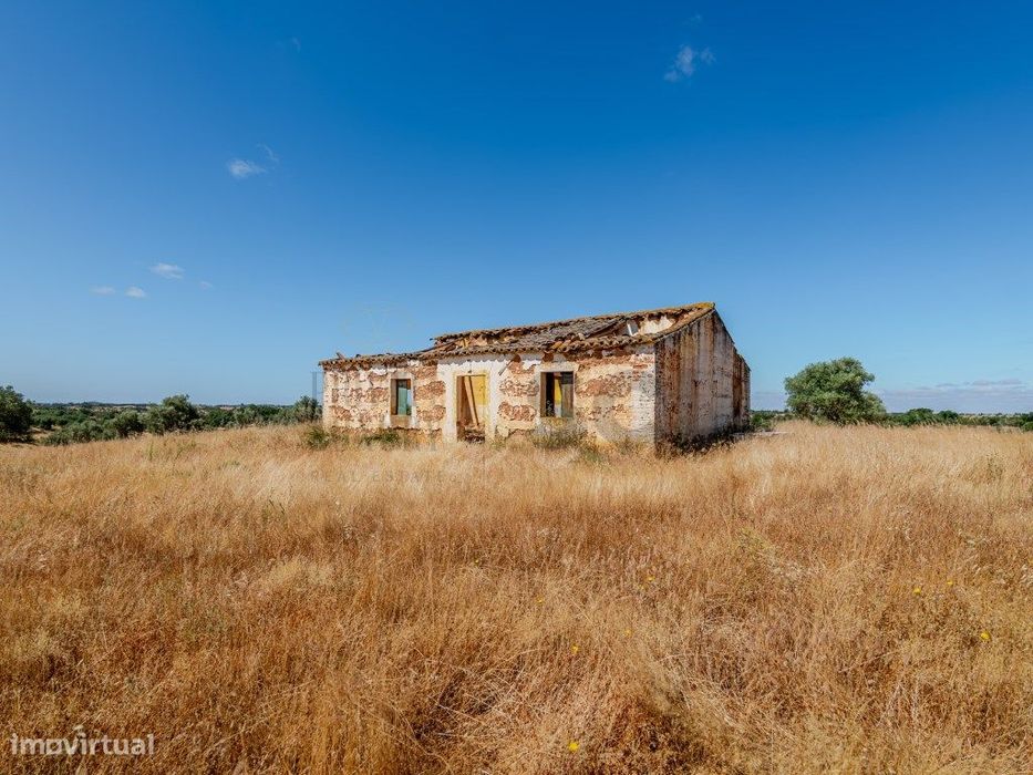 Pequena Quinta com Ruína para Recuperar em Vila Nova de São Bento