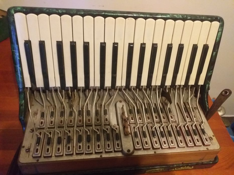 Korpus akordeon Firotti 80bas