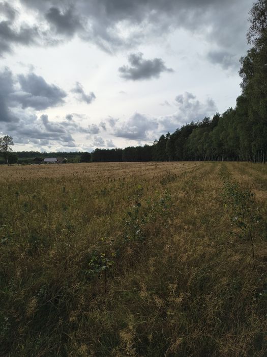 Zdjęcie 3