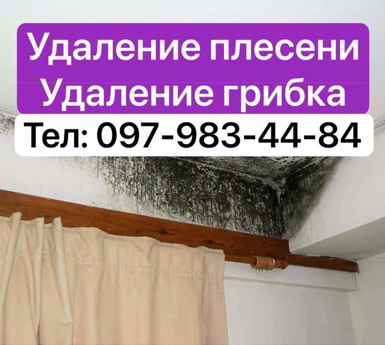 Удаление плесени , удаление грибка - Озонирование помещения !