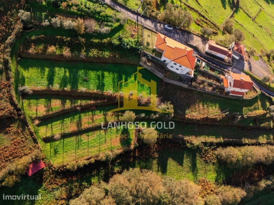 Terreno Agrícola com 3.300 m² na Póvoa de Lanhoso - Imperdível!