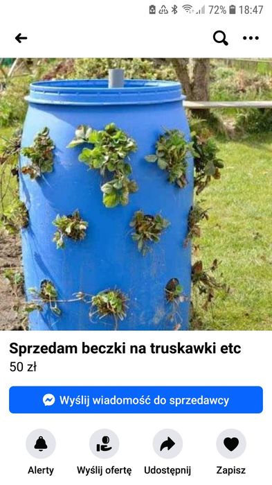 beczka do upraw truskawek