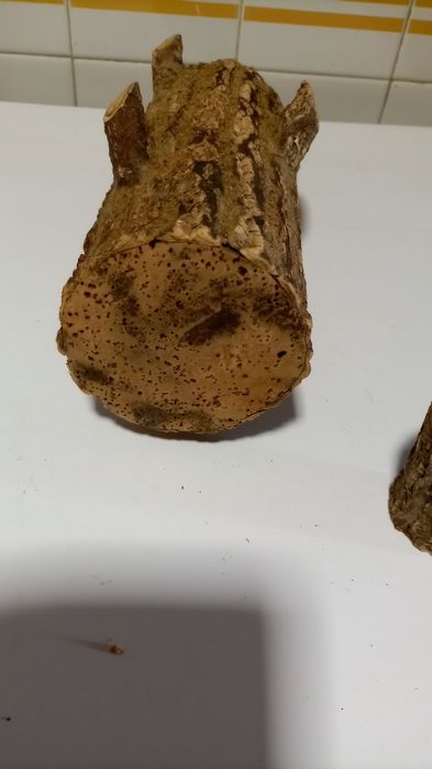 Garrafa forrada a cortiça