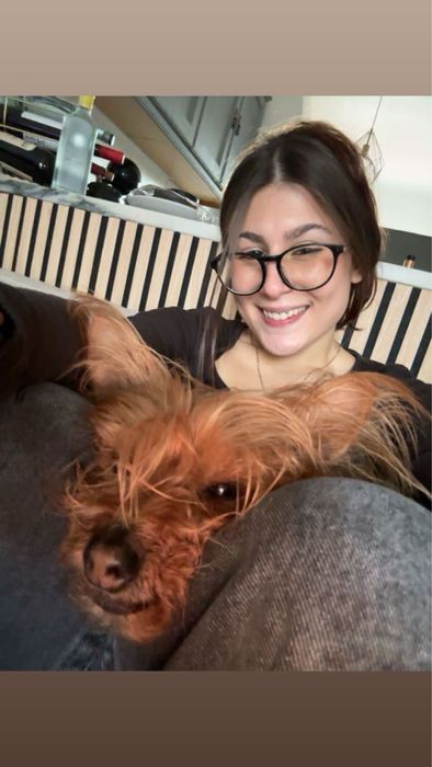 Pet Boarding - Hospedagem com segurança