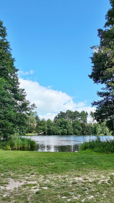 Camping, pole namiotowe Mylof Zapora