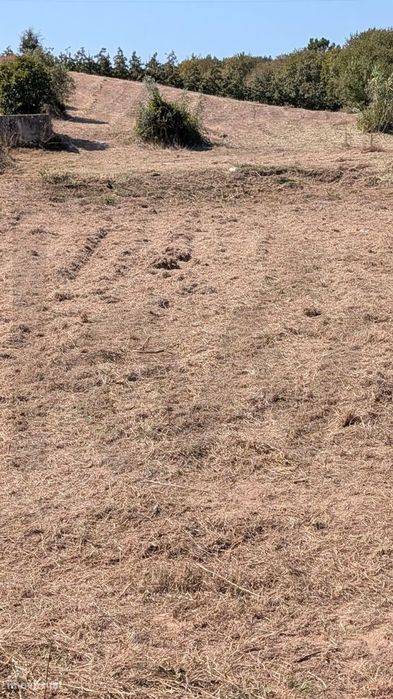 2000 m2 de terreno com PIP aprovado a 40 minutos de Lisboa