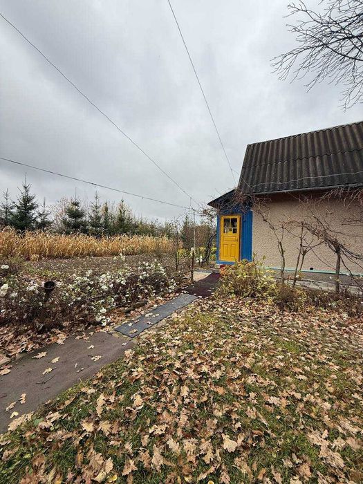 Продаж дачного будинку в лісі