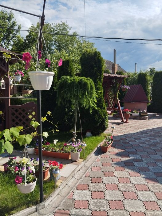 Продаж двох будинків на одній території  смт.Гришківці