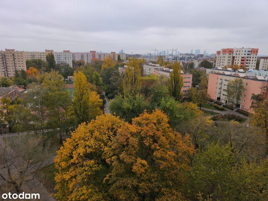 Bezpośrednio, Warszawa Bielany, Kawalerka