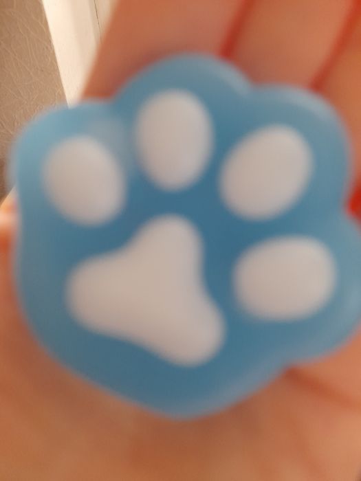 Таба лапка синього кольору з білими подушечками