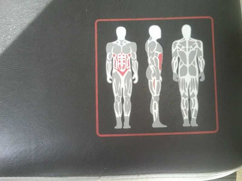 banco de musculação weight trainging bench