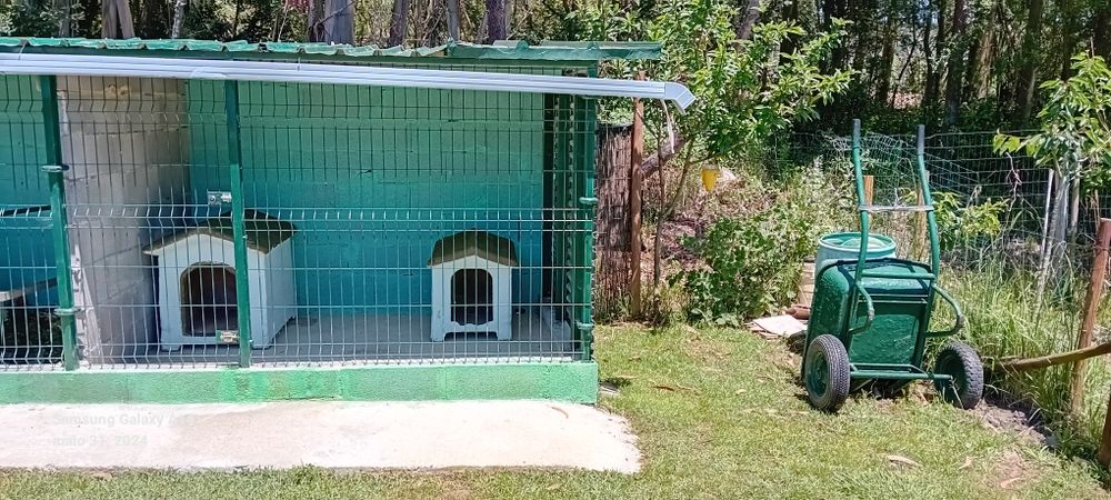 Canil para Cão férias de Verão