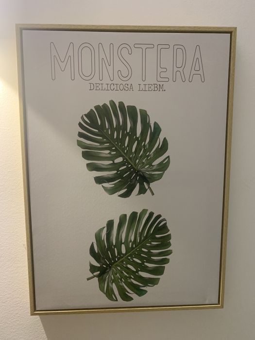 Conjunto de 2 quadros