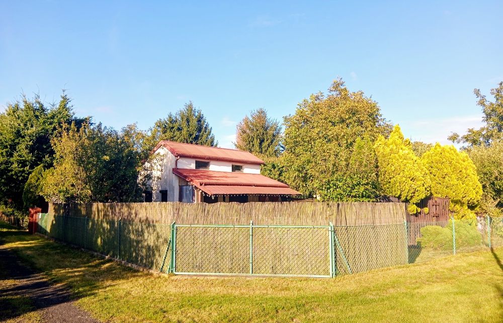 Działka ROD / 320 M2 / Duża altana / Jeżyce