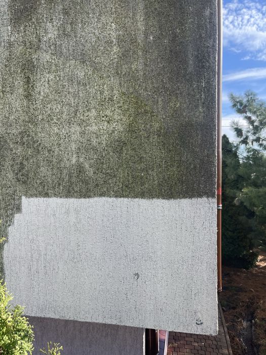 Mycie dachów i elewacji