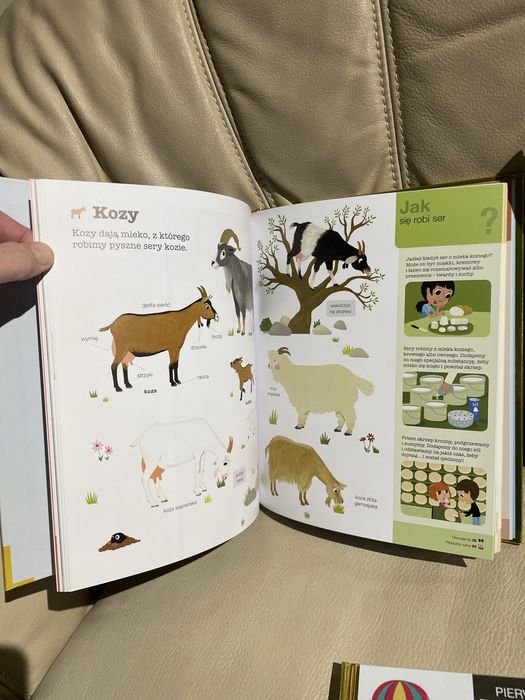 1 Książka dla dzieci Pierwsza encyklopedia pojazdy zwierzęta Na wsi