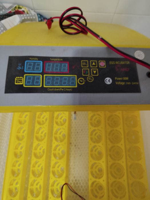 Chocadeira de 48 ovos automática