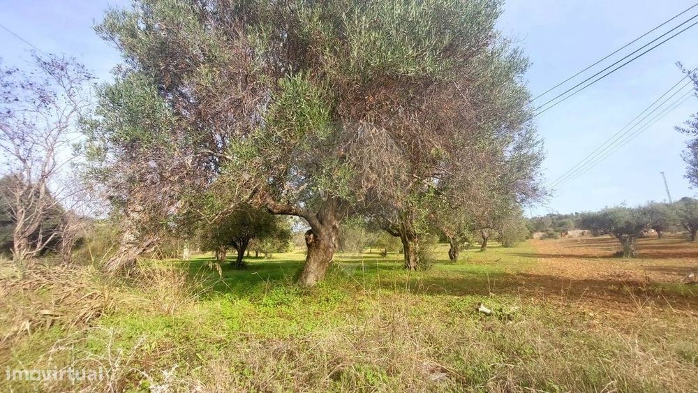 Terreno  para venda — Conceição E Estoi, Faro
