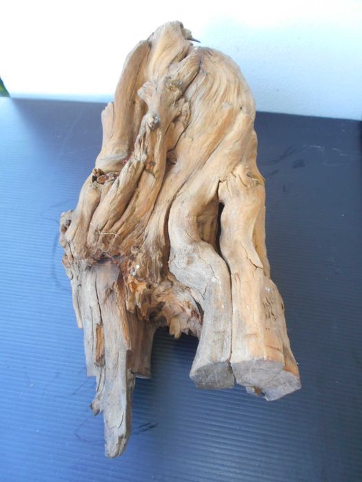 Korzeń Drewniany Akwarium Terrarium