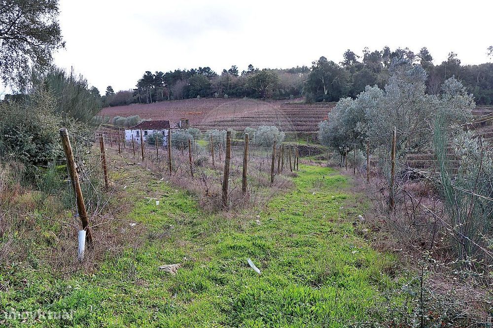 Quinta  para venda