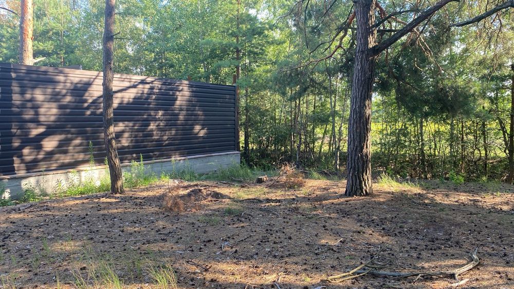 1 Земельна ділянка з ЛІСОМ в с. Мархалевка під  житлову забудову.