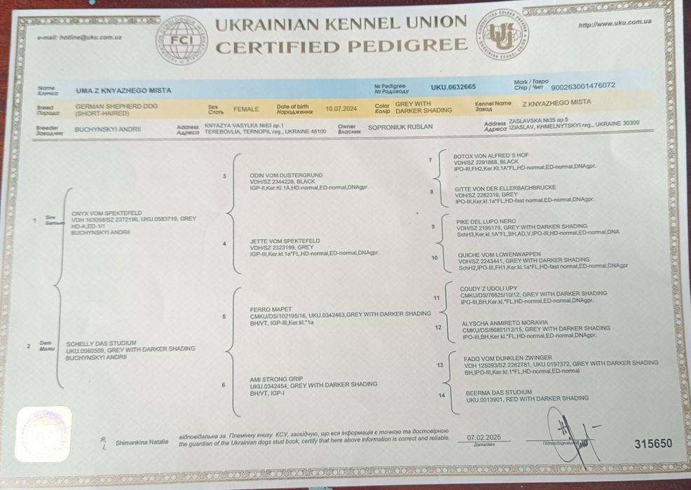 Німецька вівчарка