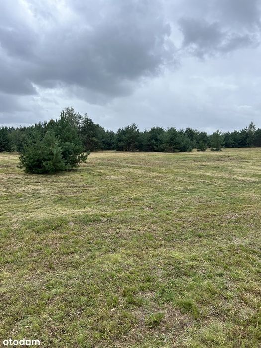 Działka budowlana 3010 m² prąd w drodze