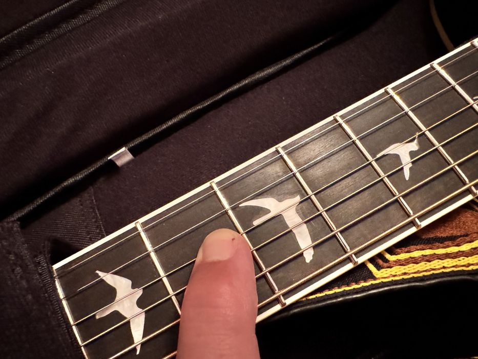 PRS Special Edition SE P20