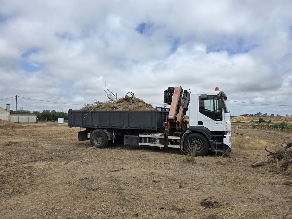 Iveco stralis basculante com grua 2006 196.000kms