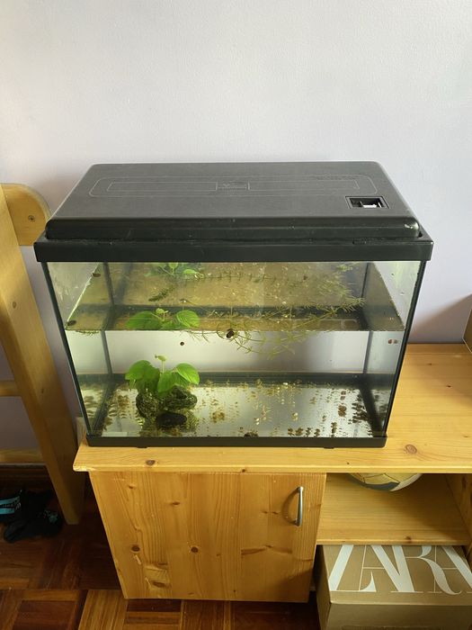 Aquario bom estado