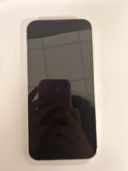 iPhone 13 Pro Max 256gb