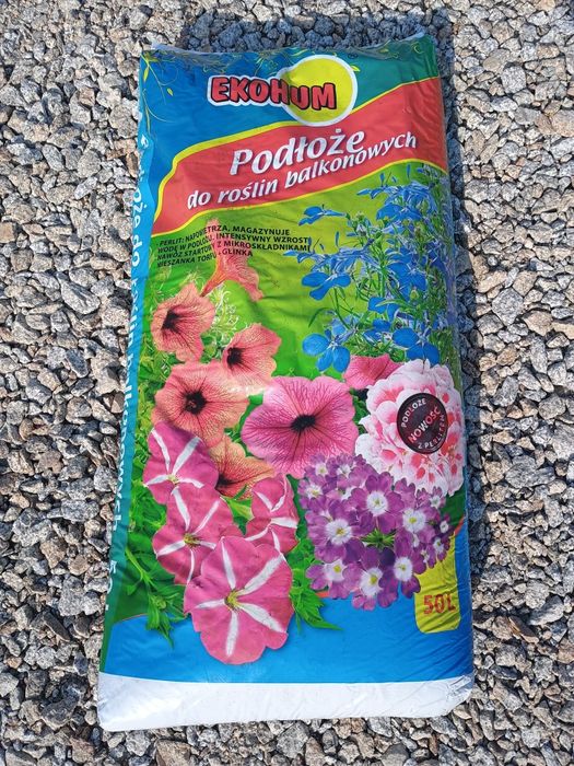 Tuja Szmaragd SZEROKA 110-120cm doniczka 10l