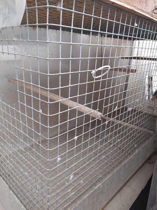 Дешево Клетки и домики для разведения попугаев, птицы