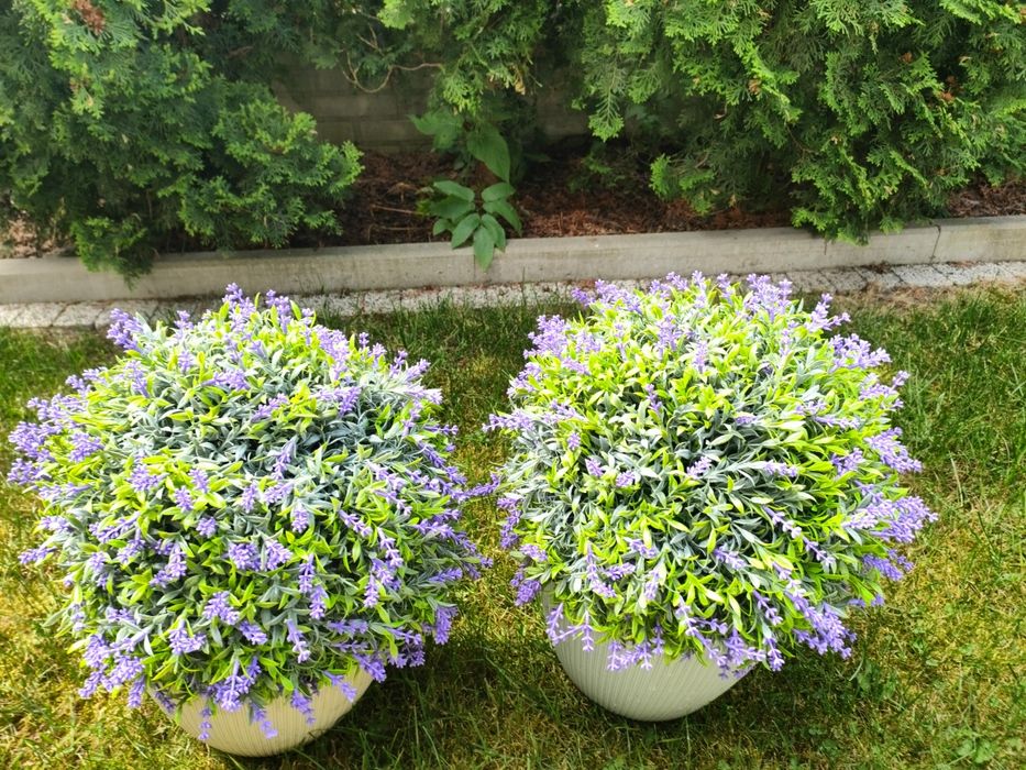 Kula bukszpanowa z lawendą 33 cm