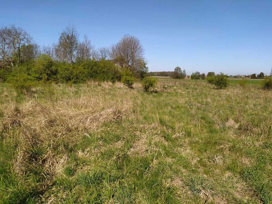 Działka - Sokolniki Parcela - 2.219 m² - Widok 3