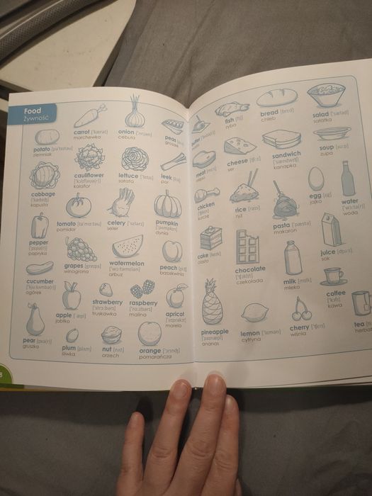 książka Słownik angielsko-polski Disnay nowy ilustrowany