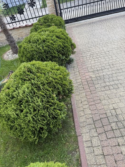 Duze kulki do ogrodu