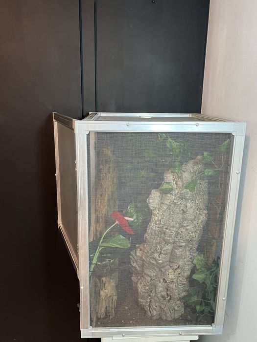 Terrarium dla gadów, kameleona