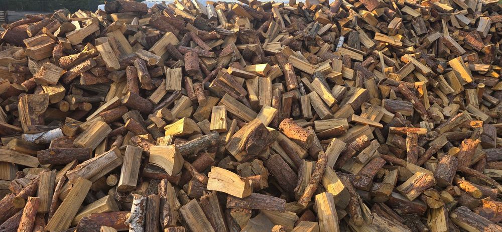 drewno opałowe iglaste sosna,