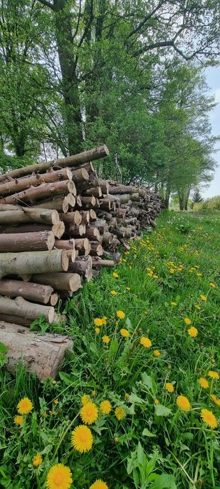 Sprzedam drewno opałowe jabłoń