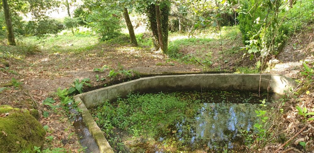 Quintinha em Amarante