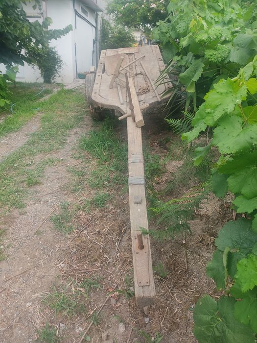 Carros de bois antigos
