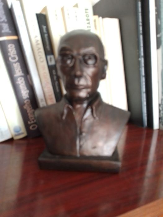 Quer bustos?Promoção:Vários em cerâmica e Barro antigo C/patina em bronze:Saramago, Sà Carneiro.e Eleanor Roosevelt Cada 30E-Contos DN/JN2E Desde 2E