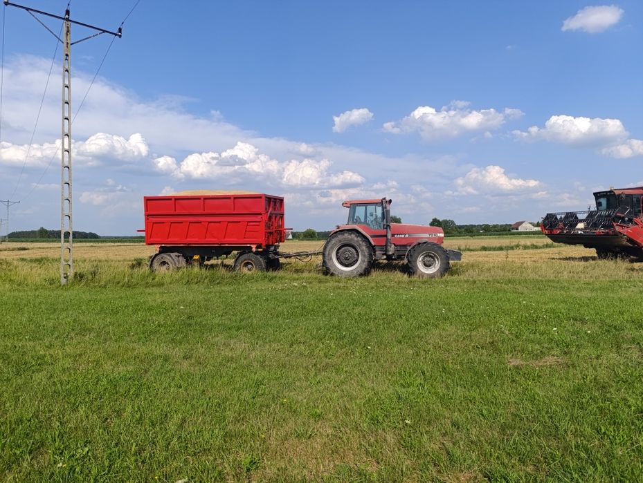 Przyczepa rolnicza MAZ ,Wielton,BSS,Panav,Pronar, Brandys IFA hl