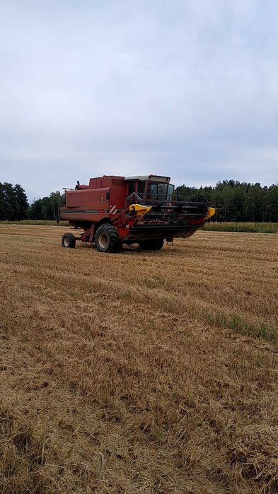 Kombajn zbożowy case international 1460