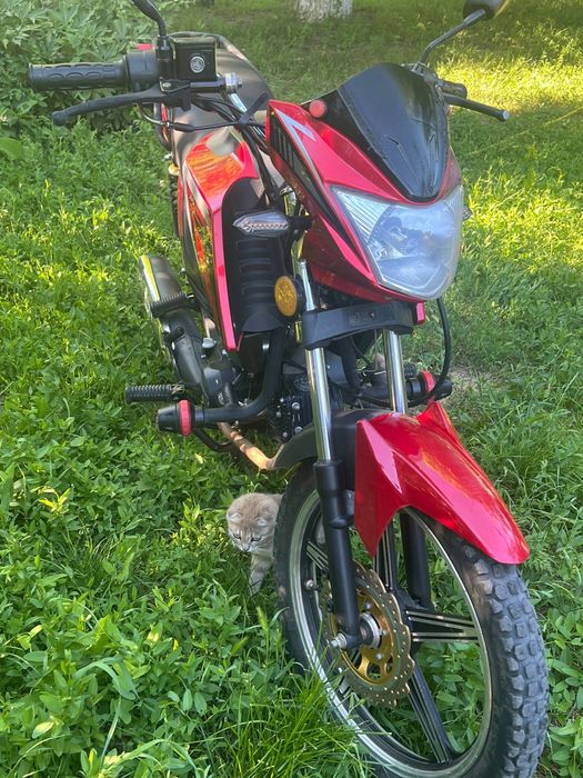 Продам мотоцикл SP125C-2CDN
