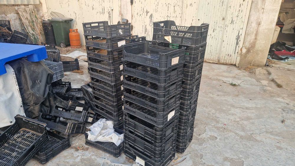 Caixas plasticas para fruta