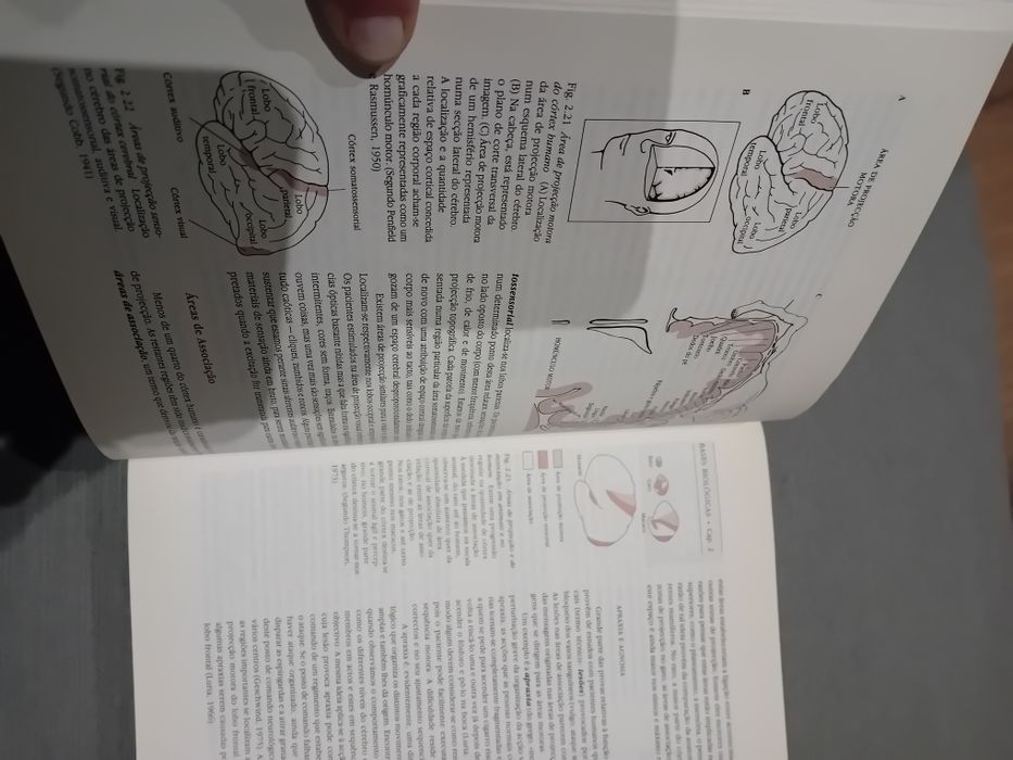 Psicologia - Henry Gleiman